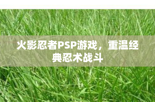 火影忍者PSP游戏，重温经典忍术战斗