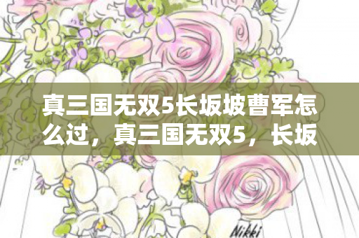 真三国无双5长坂坡曹军怎么过，真三国无双5，长坂坡的英勇传说