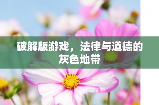 破解版游戏，法律与道德的灰色地带