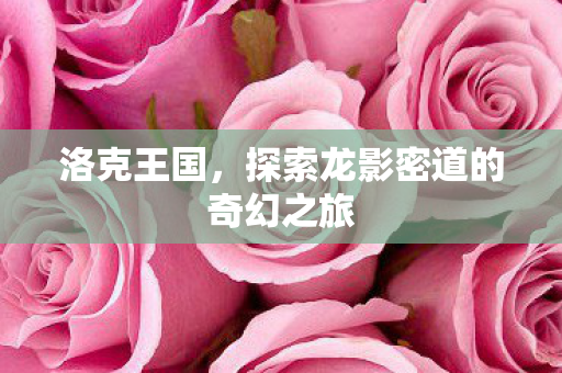 洛克王国，探索龙影密道的奇幻之旅