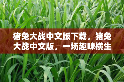 猪兔大战中文版下载，猪兔大战中文版，一场趣味横生的文化碰撞