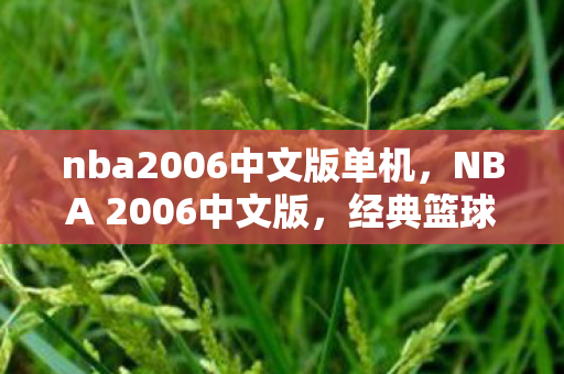 nba2006中文版单机，NBA 2006中文版，经典篮球游戏的回忆与传承