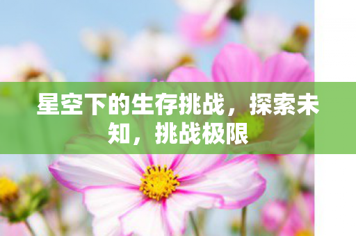 星空下的生存挑战,探索未知,挑战极限 星空下的生存挑战,探索未知,挑战极限