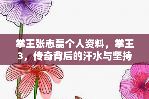 拳王张志磊个人资料,拳王3,传奇背后的汗水与坚持 拳王张志磊个人资料,拳王3,传奇背后的汗水与坚持