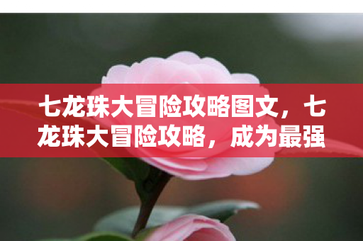 七龙珠大冒险攻略图文，七龙珠大冒险攻略，成为最强战士的秘诀