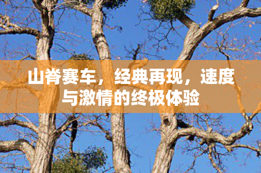山脊赛车，经典再现，速度与激情的终极体验