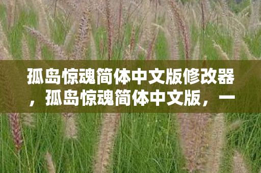 孤岛惊魂简体中文版修改器,孤岛惊魂简体中文版,一场生存与探索的冒险之旅 孤岛惊魂简体中文版修改器,孤岛惊魂简体中文版,一场生存与探索的冒险之旅
