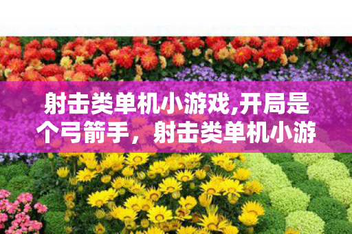 射击类单机小游戏,开局是个弓箭手，射击类单机小游戏，经典回忆与现代创新的碰撞