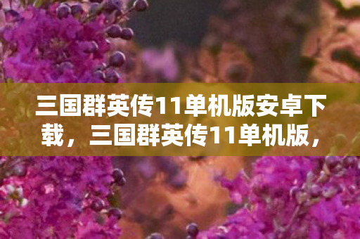三国群英传11单机版安卓下载，三国群英传11单机版，重温经典，再战沙场