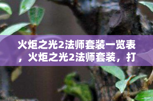火炬之光2法师套装一览表，火炬之光2法师套装，打造终极魔力的传奇之旅