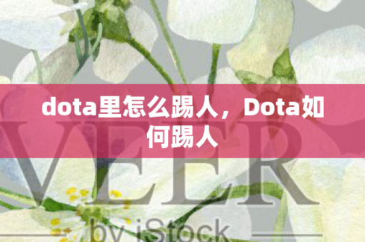 dota里怎么踢人图片