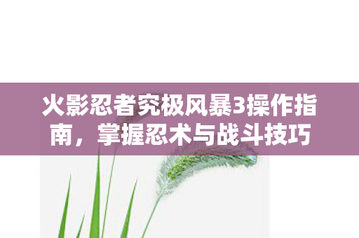 火影忍者究极风暴3操作指南，掌握忍术与战斗技巧