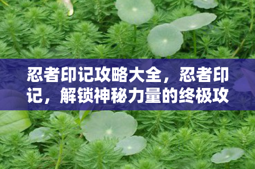 忍者印记攻略大全,忍者印记,解锁神秘力量的终极攻略 忍者印记攻略大全,忍者印记,解锁神秘力量的终极攻略