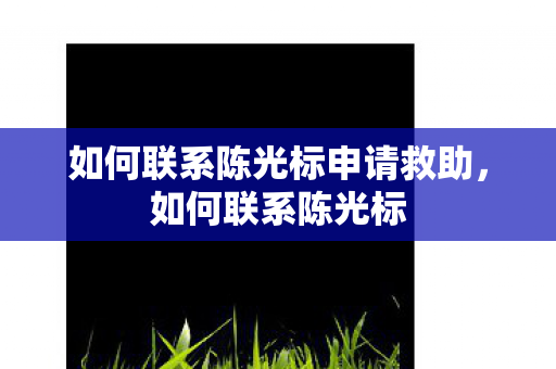如何联系陈光标申请救助，如何联系陈光标