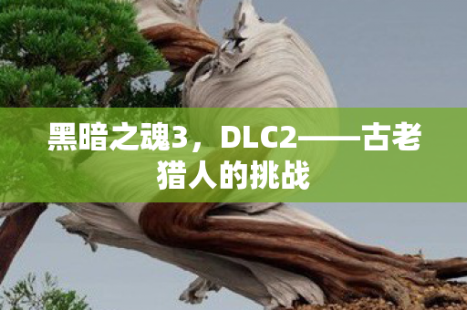 黑暗之魂3,DLC2——古老猎人的挑战 黑暗之魂3,DLC2——古老猎人的挑战