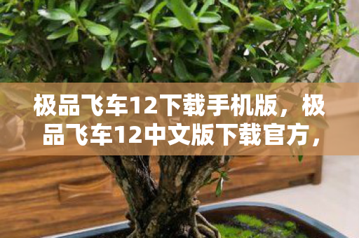 极品飞车12下载手机版，极品飞车12中文版下载官方，重温经典，极速体验