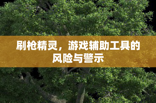 刷枪精灵，游戏辅助工具的风险与警示