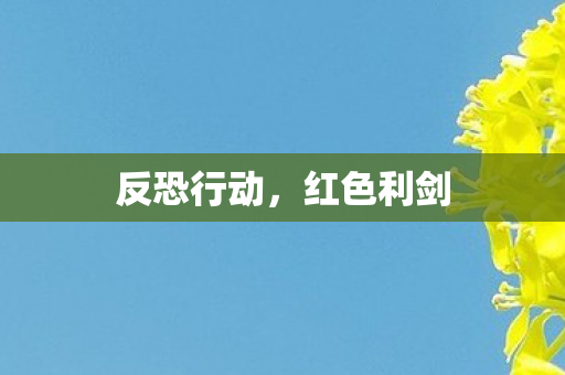 反恐行动，红色利剑