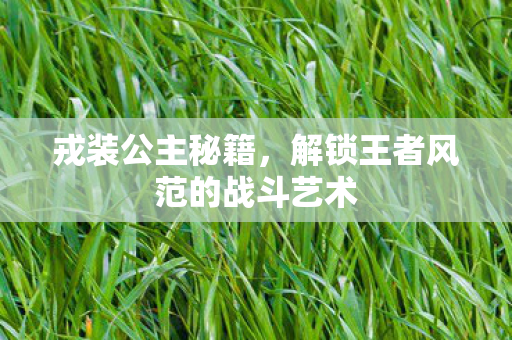 戎装公主秘籍，解锁王者风范的战斗艺术