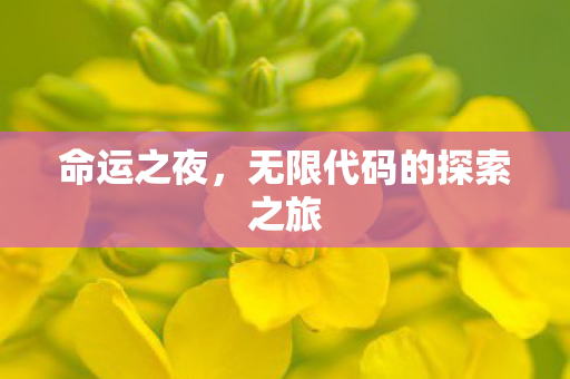 命运之夜，无限代码的探索之旅