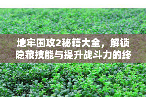 地牢围攻2秘籍大全，解锁隐藏技能与提升战斗力的终极指南