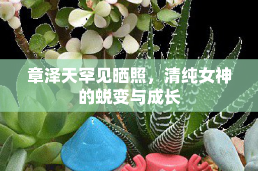 章泽天罕见晒照，清纯女神的蜕变与成长