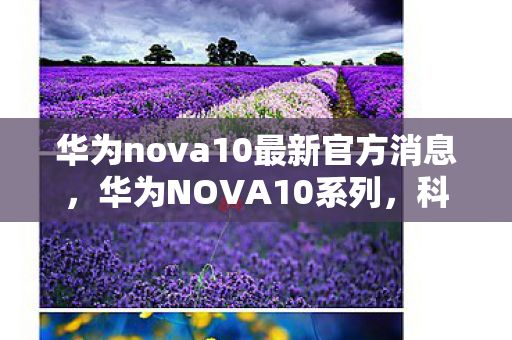 华为nova10最新官方消息，华为NOVA10系列，科技与美学的完美融合