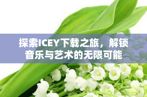 探索ICEY下载之旅，解锁音乐与艺术的无限可能