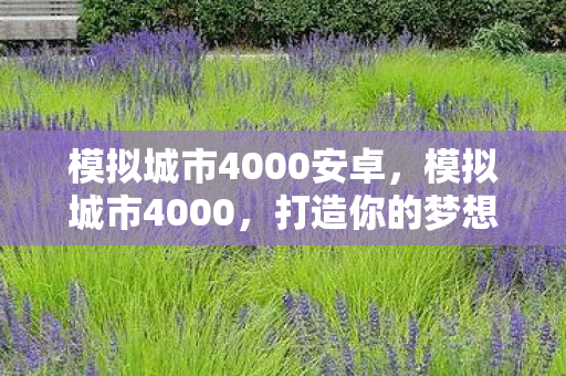 模拟城市4000安卓，模拟城市4000，打造你的梦想之城