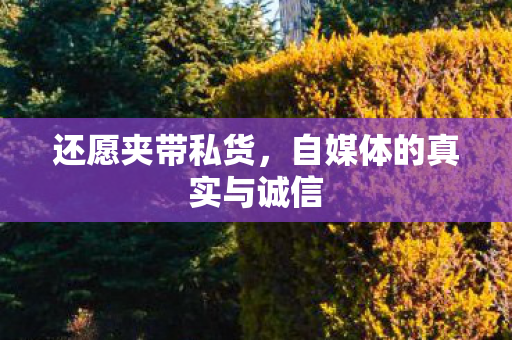 还愿夹带私货,自媒体的真实与诚信 还愿夹带私货,自媒体的真实与诚信
