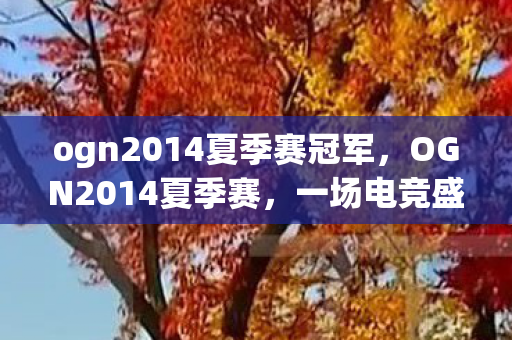 ogn2014夏季赛冠军,OGN2014夏季赛,一场电竞盛宴的回顾与解析 ogn2014夏季赛冠军,OGN2014夏季赛,一场电竞盛宴的回顾与解析