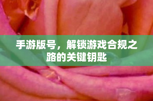 手游版号，解锁游戏合规之路的关键钥匙