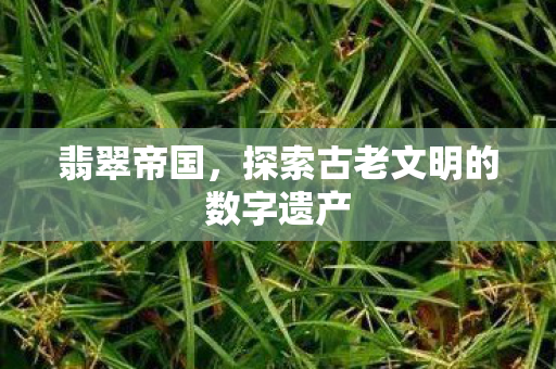 翡翠帝国，探索古老文明的数字遗产