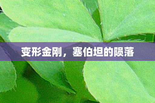 变形金刚，塞伯坦的陨落