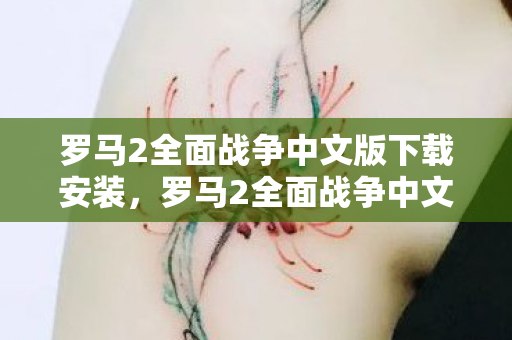 罗马2全面战争中文版下载安装,罗马2全面战争中文版下载指南 罗马2全面战争中文版下载安装,罗马2全面战争中文版下载指南