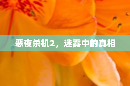 恶夜杀机2，迷雾中的真相