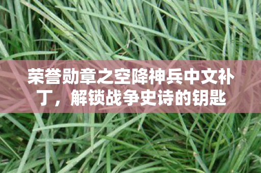 荣誉勋章之空降神兵中文补丁,解锁战争史诗的钥匙 荣誉勋章之空降神兵中文补丁,解锁战争史诗的钥匙