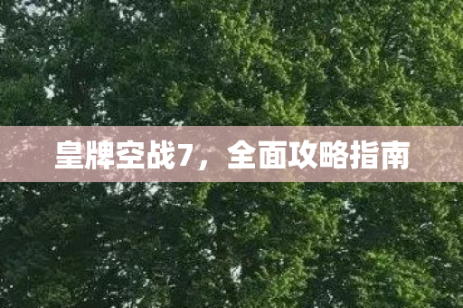 皇牌空战7，全面攻略指南