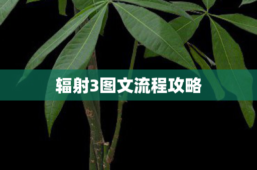 辐射3图文流程攻略