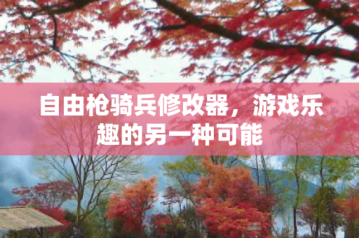 自由枪骑兵修改器，游戏乐趣的另一种可能