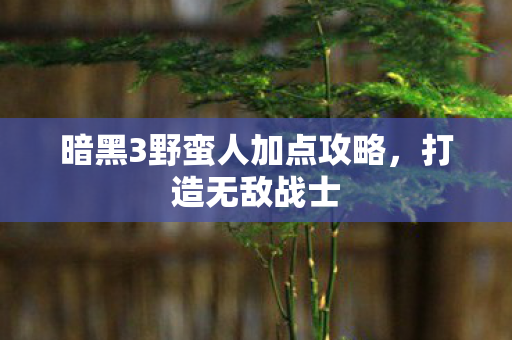暗黑3野蛮人加点攻略，打造无敌战士