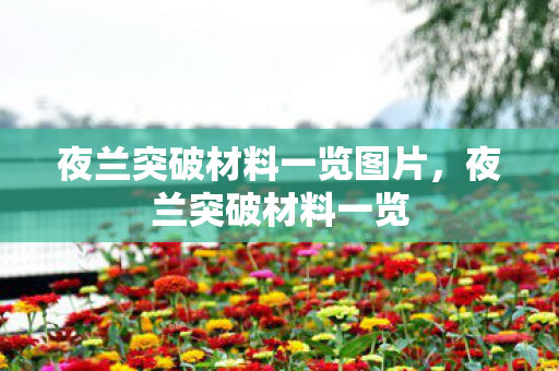 夜兰突破材料一览图片，夜兰突破材料一览