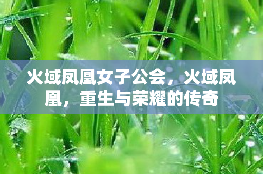 火域凤凰女子公会，火域凤凰，重生与荣耀的传奇