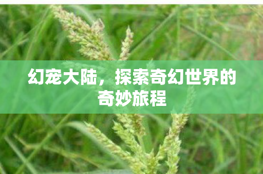 幻宠大陆，探索奇幻世界的奇妙旅程