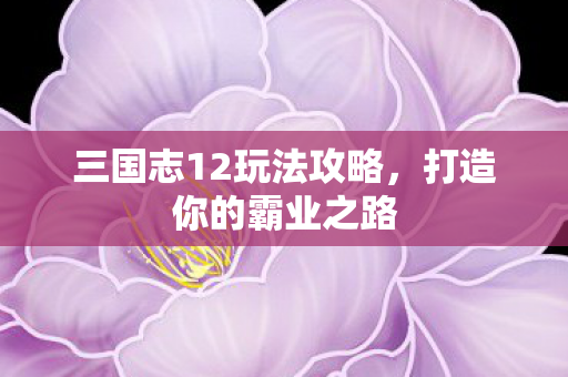 三国志12玩法攻略，打造你的霸业之路