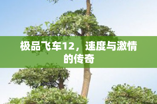 极品飞车12，速度与激情的传奇