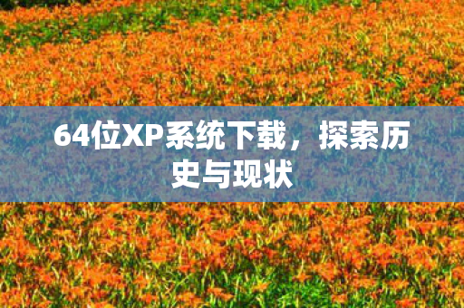 64位XP系统下载图片