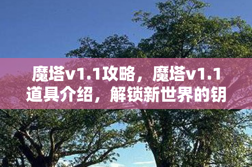 魔塔v1.1攻略,魔塔v1.1道具介绍,解锁新世界的钥匙 魔塔v1.1攻略,魔塔v1.1道具介绍,解锁新世界的钥匙