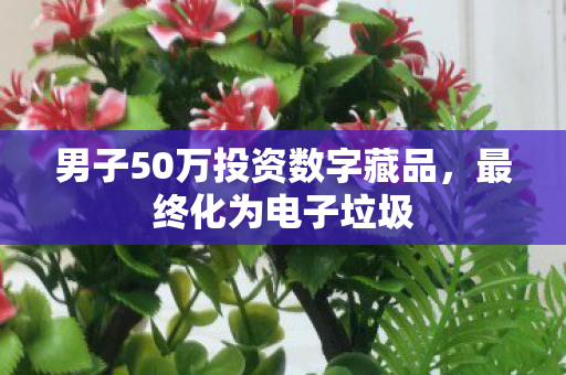 男子50万投资数字藏品，最终化为电子垃圾