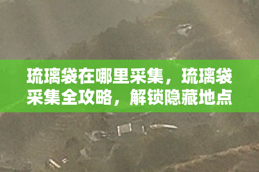 琉璃袋在哪里采集，琉璃袋采集全攻略，解锁隐藏地点与高效采集技巧